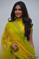 Pallavi Subhash At Naruda DONORuda Movie Audio Launch